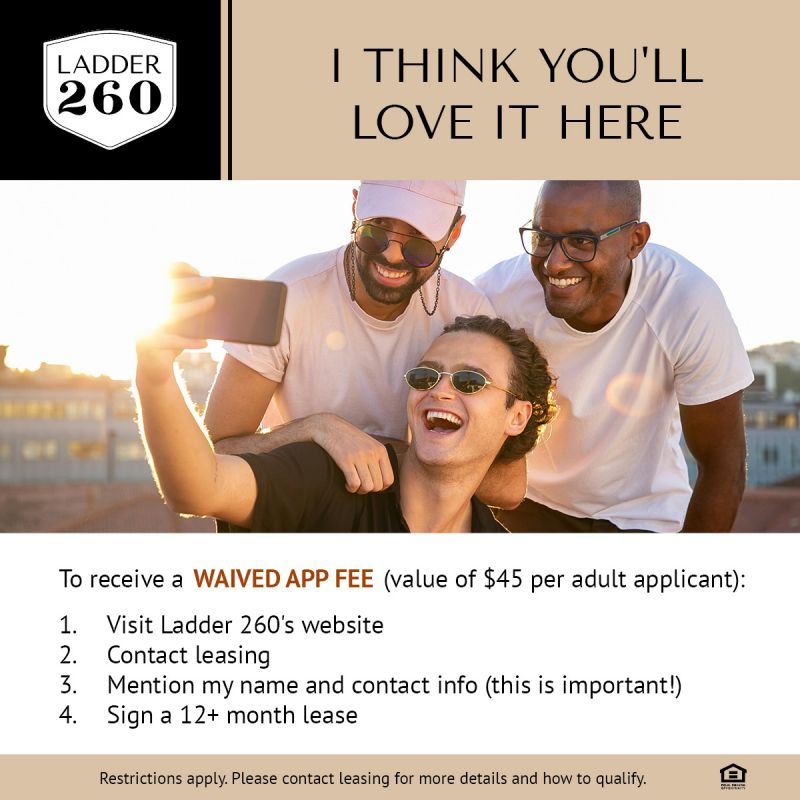 Ladder 260 Advocate Program advertisement